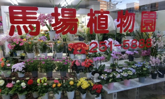 馬場植物園・TOP
